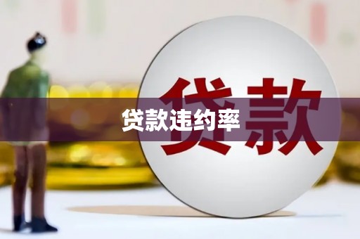 隰县贷款违约率