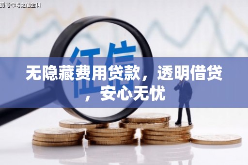 隰县无隐藏费用贷款，透明借贷，安心无忧