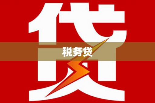 隰县税务贷