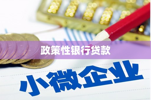 隰县政策性银行贷款