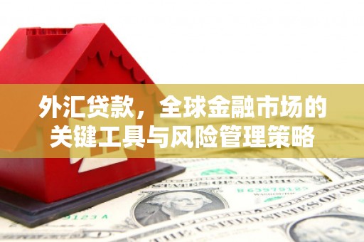 隰县外汇贷款，全球金融市场的关键工具与风险管理策略