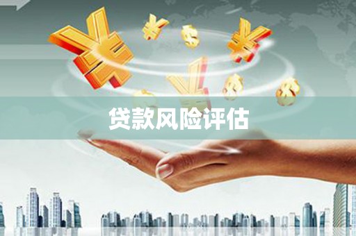 隰县贷款风险评估