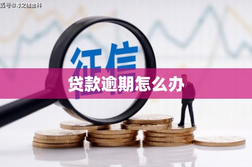 隰县贷款逾期怎么办