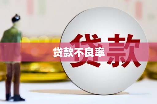 隰县贷款不良率