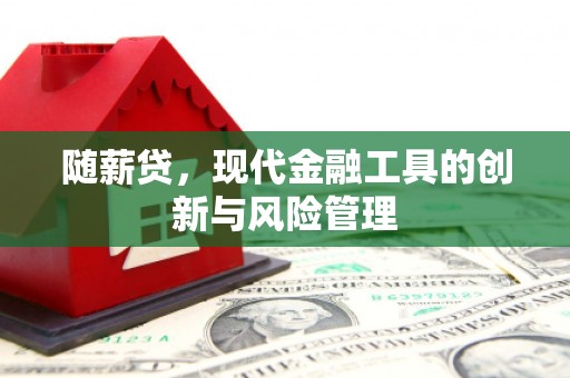 隰县随薪贷，现代金融工具的创新与风险管理
