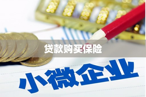 隰县贷款购买保险