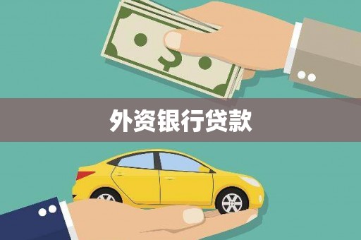 隰县外资银行贷款