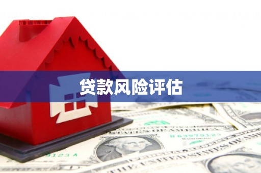 隰县贷款风险评估