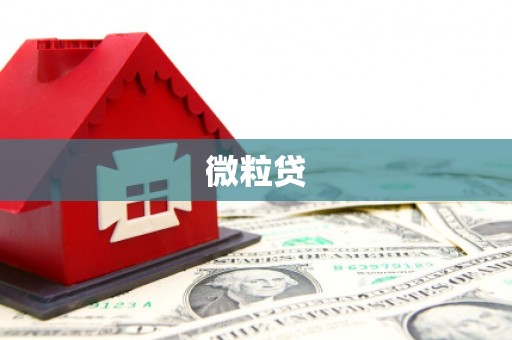 隰县微粒贷