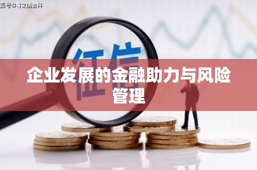 隰县企业发展的金融助力与风险管理