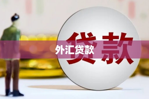 隰县外汇贷款