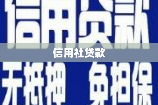 隰县信用社贷款