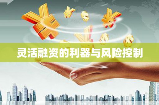 隰县灵活融资的利器与风险控制