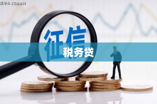 隰县税务贷
