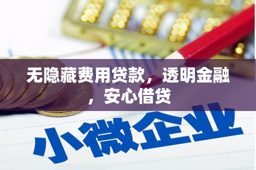 隰县无隐藏费用贷款，透明金融，安心借贷