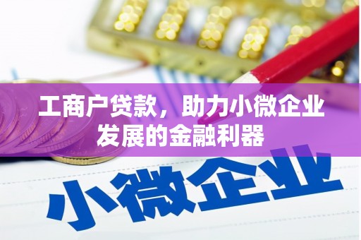 隰县工商户贷款，助力小微企业发展的金融利器