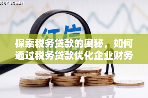 隰县探索税务贷款的奥秘，如何通过税务贷款优化企业财务
