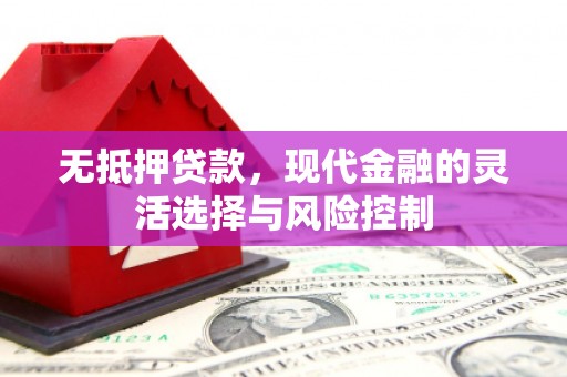 隰县无抵押贷款，现代金融的灵活选择与风险控制