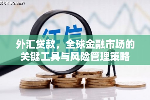 隰县外汇贷款，全球金融市场的关键工具与风险管理策略