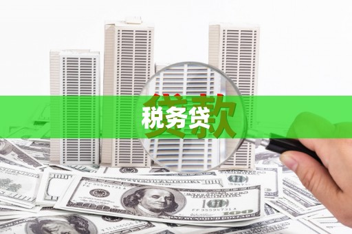 隰县税务贷