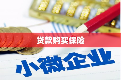 隰县贷款购买保险