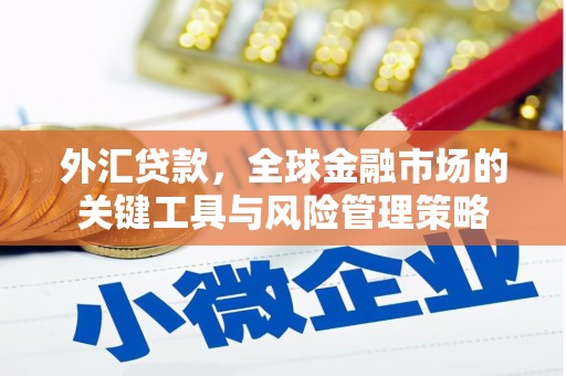 隰县外汇贷款，全球金融市场的关键工具与风险管理策略