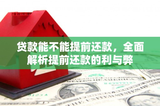 隰县贷款能不能提前还款，全面解析提前还款的利与弊