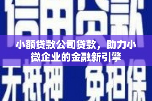 隰县小额贷款公司贷款，助力小微企业的金融新引擎