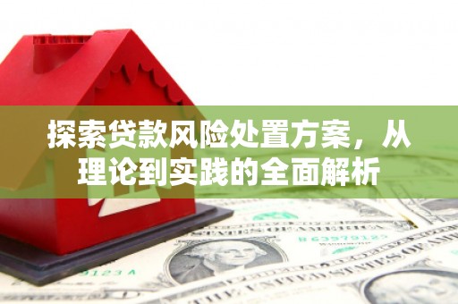 隰县探索贷款风险处置方案，从理论到实践的全面解析