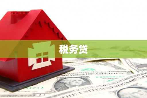 隰县税务贷