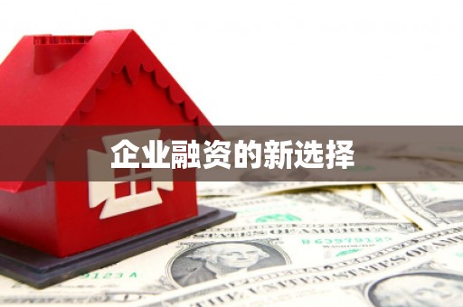 隰县企业融资的新选择