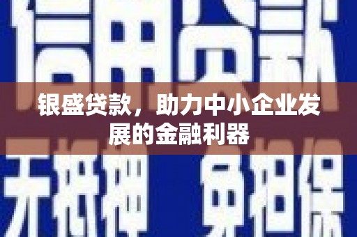 隰县银盛贷款，助力中小企业发展的金融利器