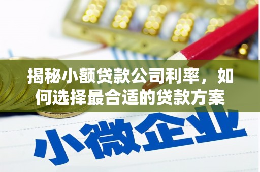 隰县揭秘小额贷款公司利率，如何选择最合适的贷款方案