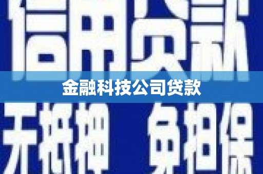 隰县金融科技公司贷款