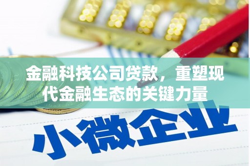 隰县金融科技公司贷款，重塑现代金融生态的关键力量