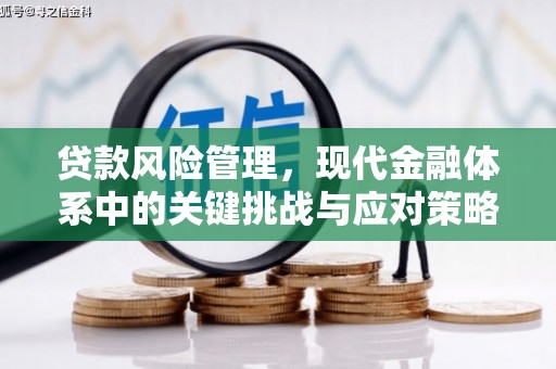 隰县贷款风险管理，现代金融体系中的关键挑战与应对策略