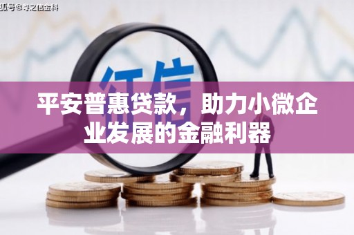 隰县平安普惠贷款，助力小微企业发展的金融利器