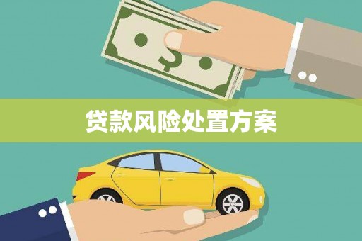 隰县贷款风险处置方案