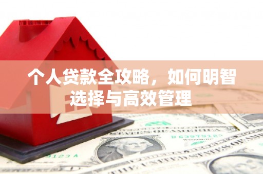 隰县个人贷款全攻略，如何明智选择与高效管理