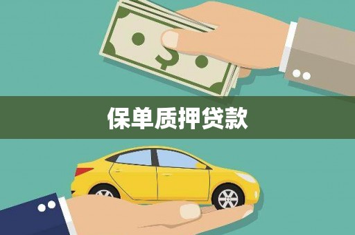 隰县保单质押贷款