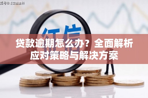 隰县贷款逾期怎么办？全面解析应对策略与解决方案