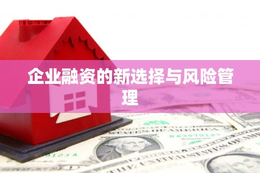 隰县企业融资的新选择与风险管理