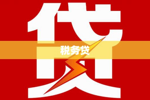 隰县税务贷
